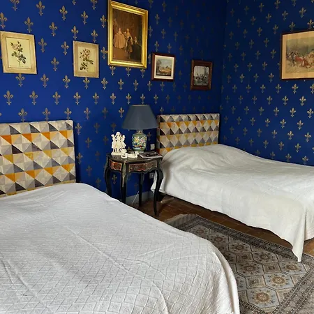 Chateau De La Thibaudiere Bois Savary - Familiale Du Roi Frühstückspension Allonnes (Maine-et-Loire)