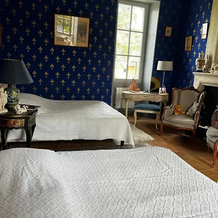Chateau De La Thibaudiere Bois Savary - Familiale Du Roi Frühstückspension Allonnes (Maine-et-Loire)