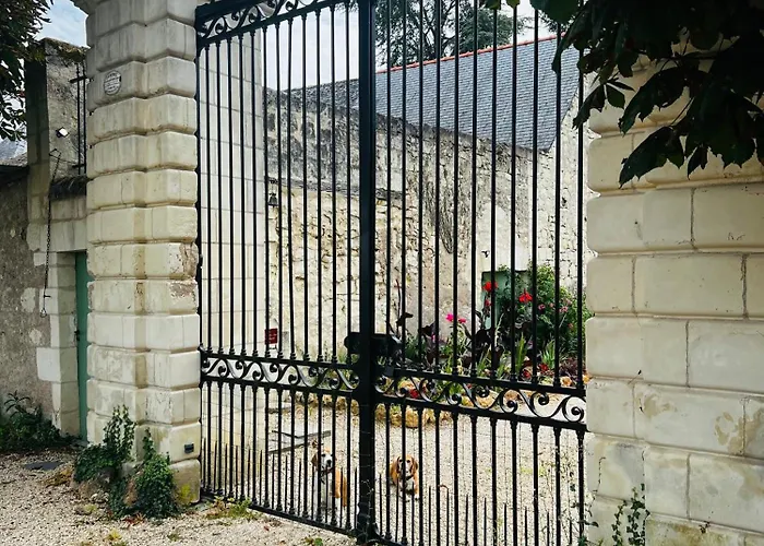 Château De La Thibaudière Bois Savary - Familiale Du Roi